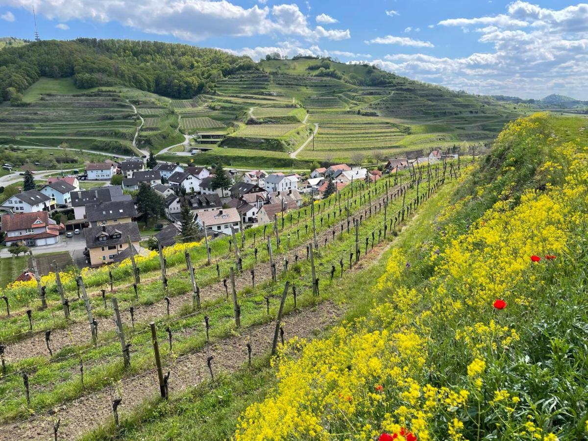 דירות ווגטסבורג Weingut & Strausswirtschaft Vogel מראה חיצוני תמונה