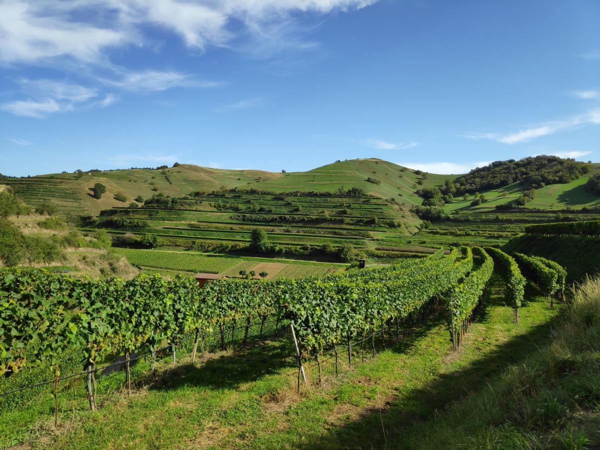 דירות ווגטסבורג Weingut & Strausswirtschaft Vogel מראה חיצוני תמונה