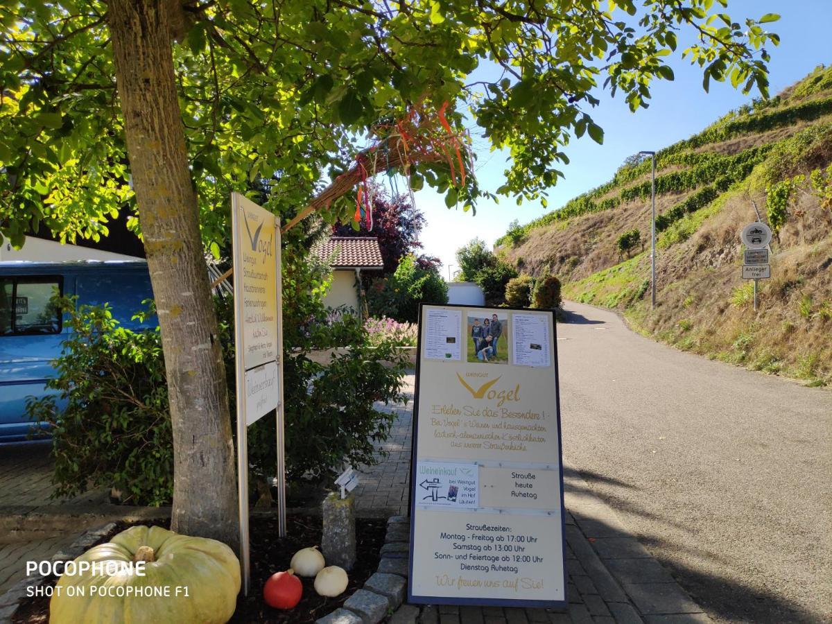 דירות ווגטסבורג Weingut & Strausswirtschaft Vogel מראה חיצוני תמונה
