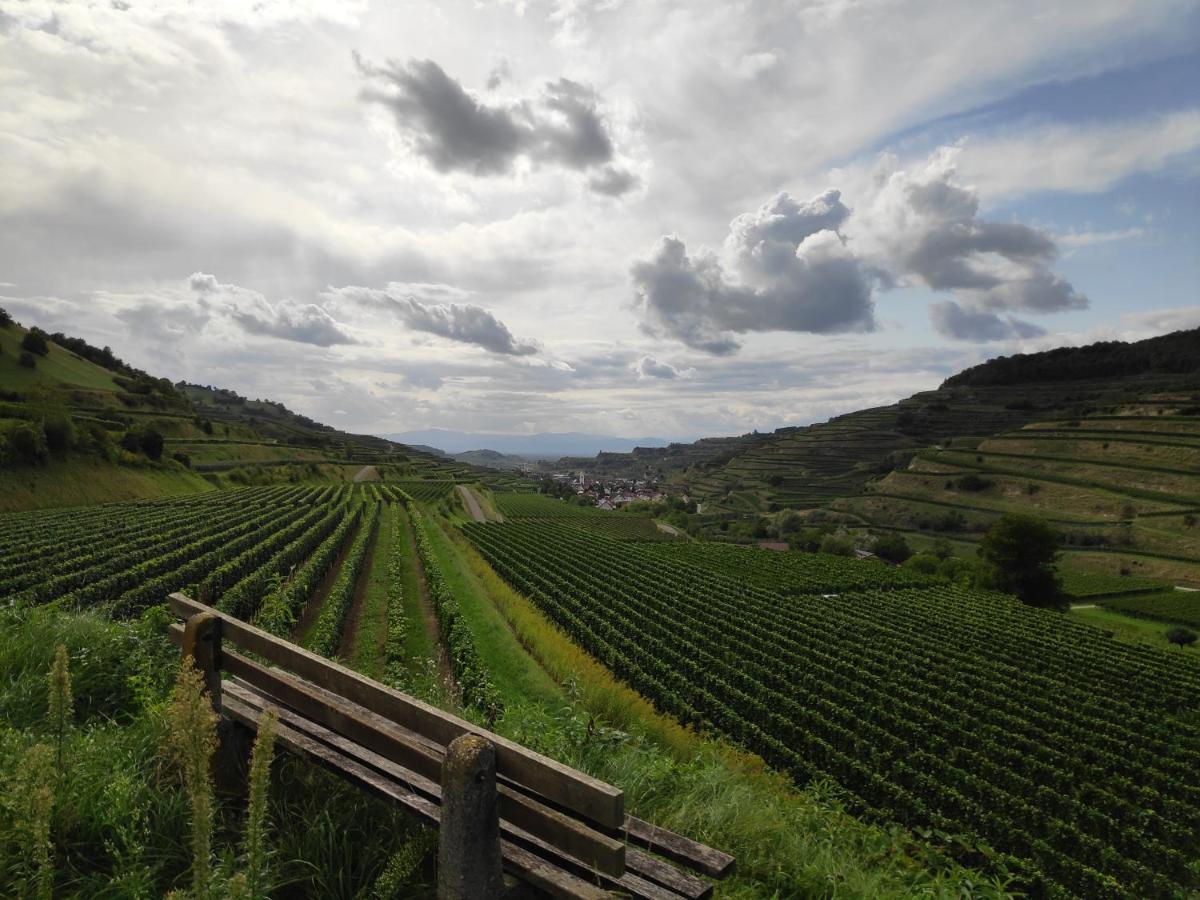 דירות ווגטסבורג Weingut & Strausswirtschaft Vogel מראה חיצוני תמונה