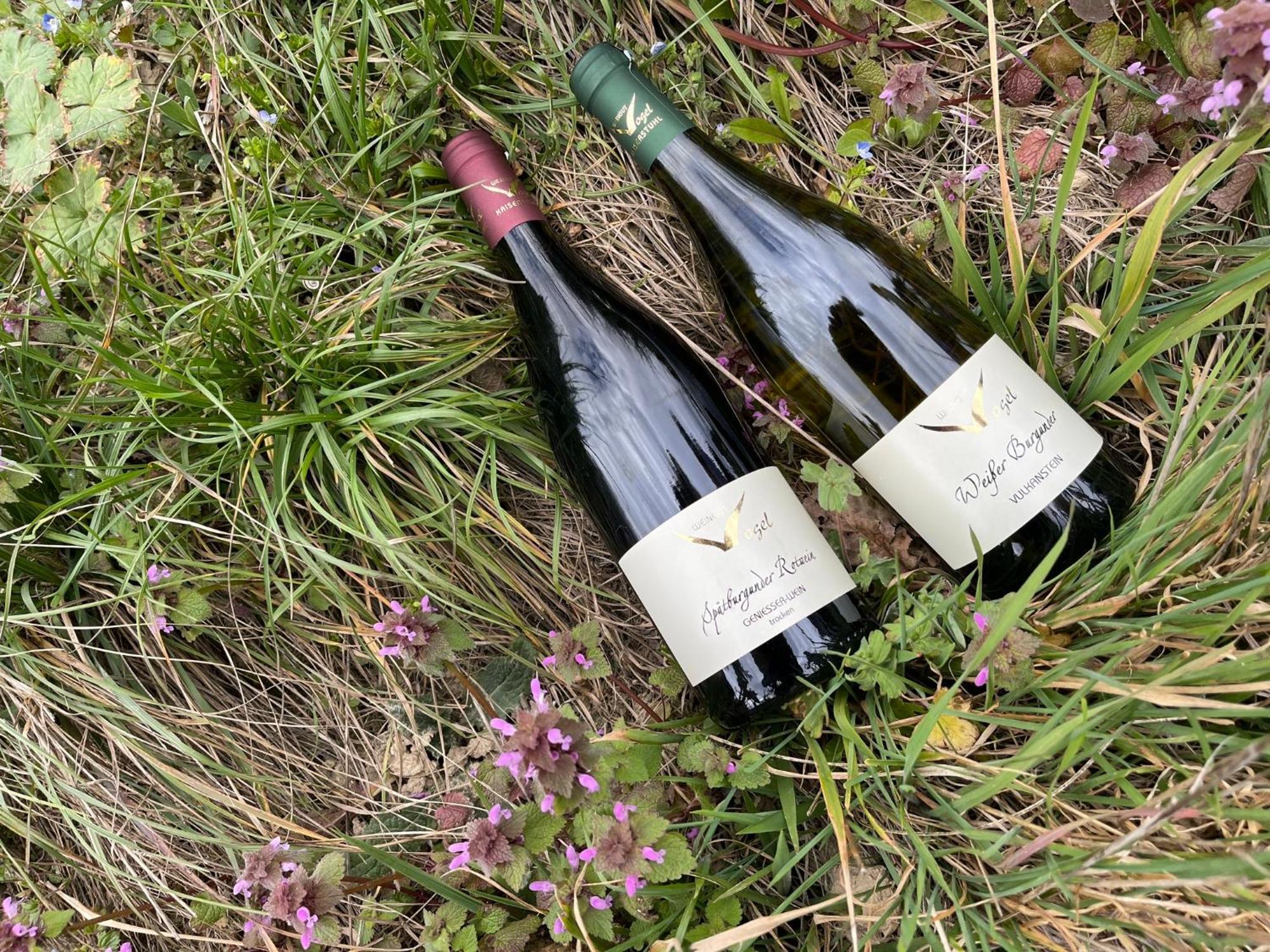 דירות ווגטסבורג Weingut & Strausswirtschaft Vogel מראה חיצוני תמונה